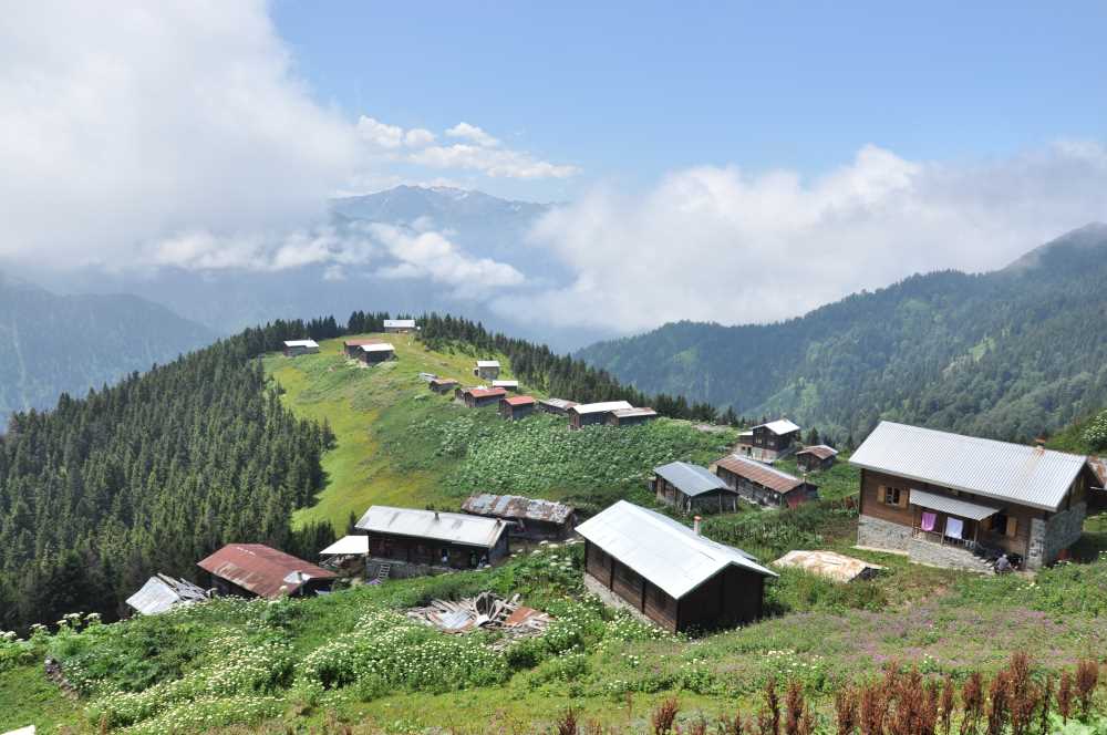 Pokut Yaylası